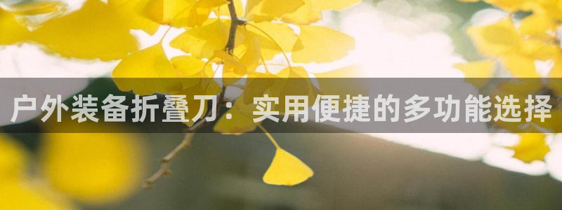 利记手机官网入口