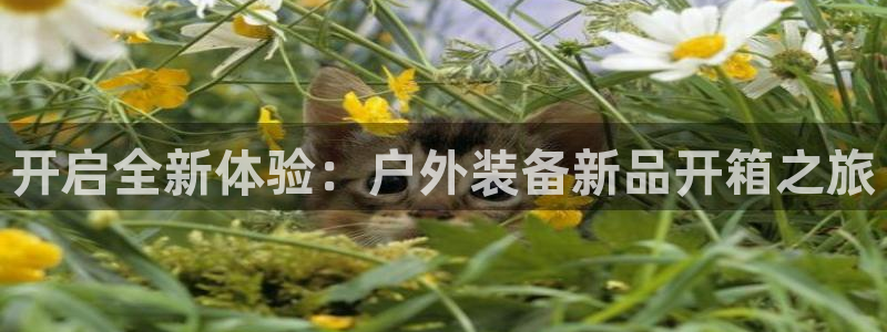 利记娱乐网官网