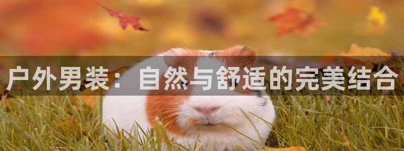 利记官网行业领导者