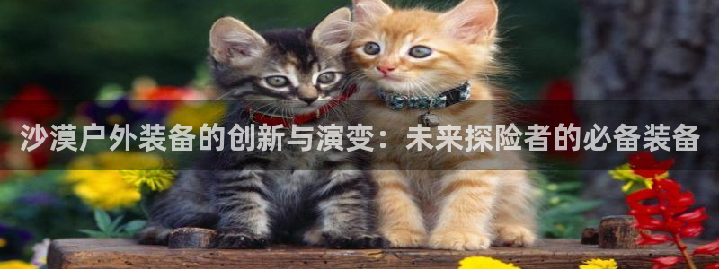 利记体育官网地址