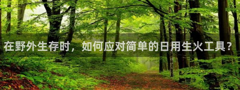 利记投注平台官网